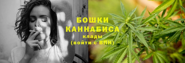 PSILOCYBIN Покачи
