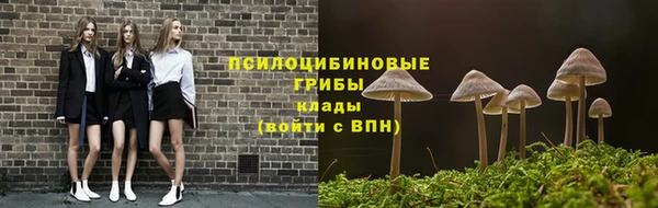 PSILOCYBIN Покачи