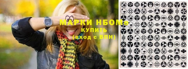 PSILOCYBIN Покачи