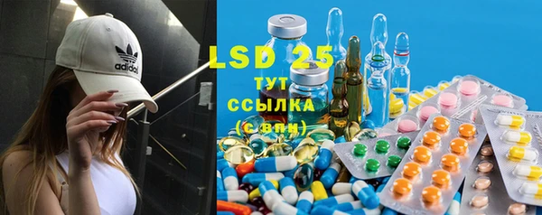 PSILOCYBIN Покачи
